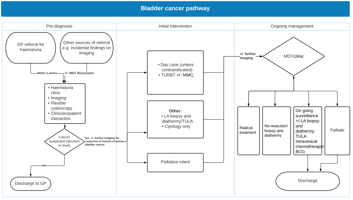 Bladder Cancer Pathway